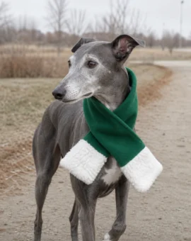 Fotografía de Bufanda navideña para perros de color verde de ThePetLover