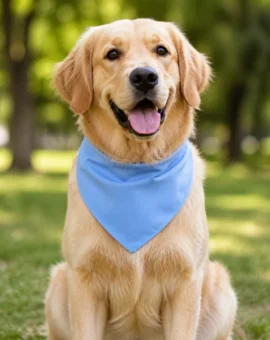 Fotografía de Bandana para perros Azul de ThePetLover