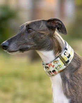 Fotografía de Collar Martingale Sushi de ThePetLover
