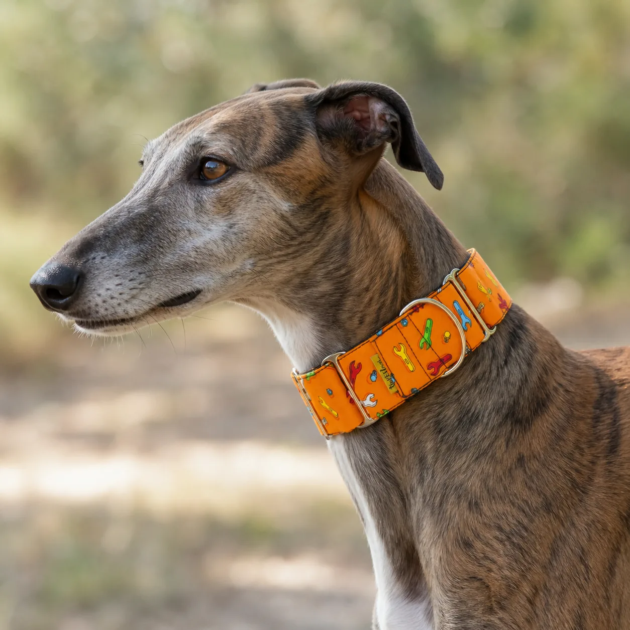 Fotografía de Collar martingale Herramientas de ThePetLover