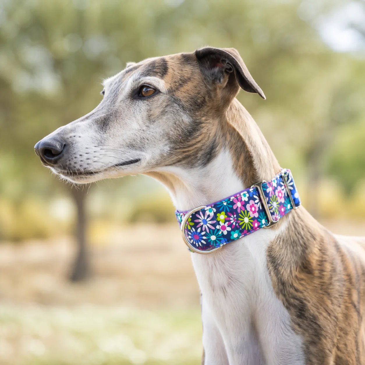 Fotografía de Collar martingale Flowers de ThePetLover