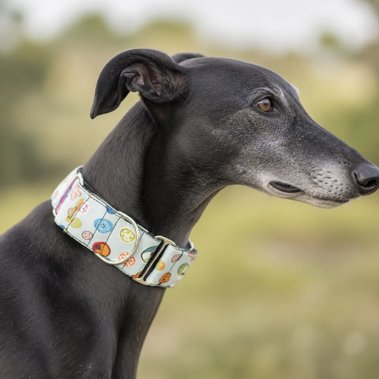 Fotografía de Collar martingale botones de ThePetLover