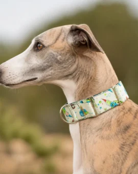 Fotografía de Collar martingale space kids de ThePetLover