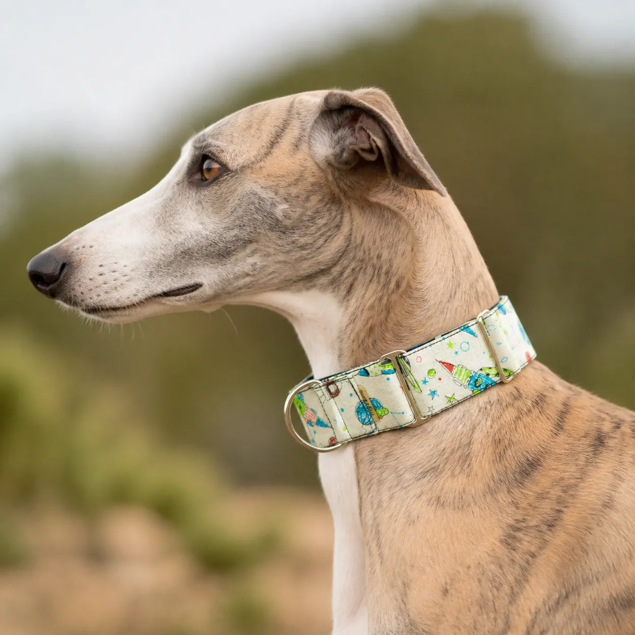 Fotografía de Collar martingale space kids de ThePetLover