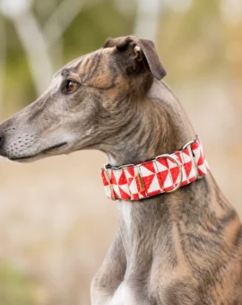 Fotografía de Collar martingale Triangulos rojos de ThePetLover