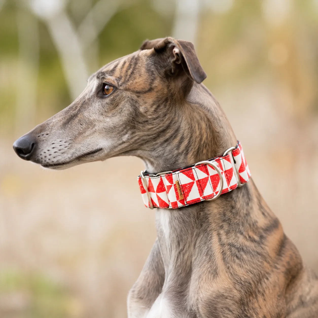 Fotografía de Collar martingale Triangulos rojos de ThePetLover